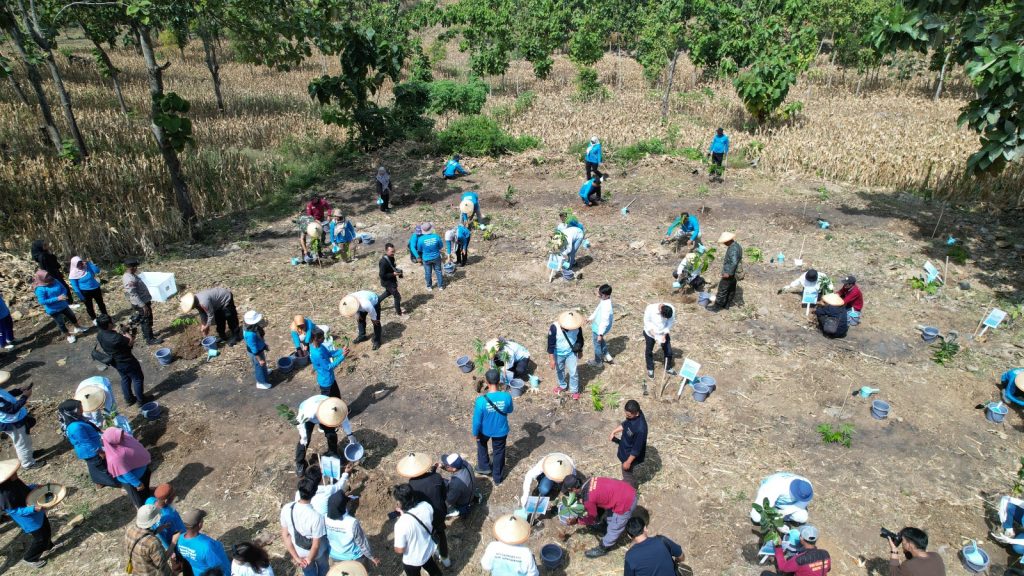 Fkt Ugm Dan Pt Pelita Air Services Tanam Pohon Mtps Di Blora